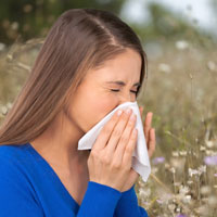 Seasonal Allergies