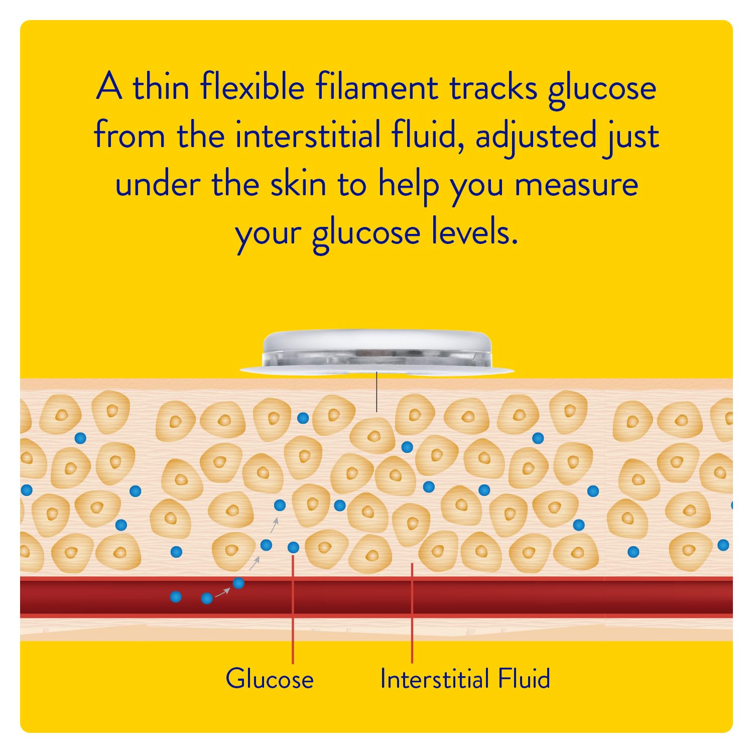 Abbott FreeStyle Libre 3 Sensor Flash Glucose Monitoring System Compact Continuous Glucose Monitoring (CGM)